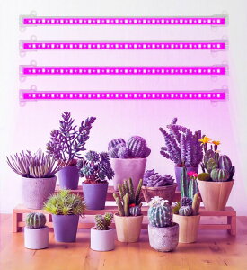 A琬Cg vgCg ACg LEDCg 2wbh USBڑ 5iK ^C}[@\ ƕs k͔| ͔| ϗtA K[fjO ƒ؉ |