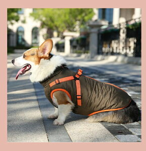 ̌^ WPbg Wp[ R[g g ̕   EFA ˃e[vt ybg  ^