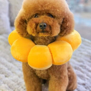 GUxXJ[ Lp p ybgpi rߖh~ p Ђ܂^ ߉\ _炩  y ʋC ی