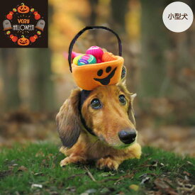 犬　服　VERY　ハロウィン　コスプレ　コスチューム　カラフルキャンディ ペット おしゃれ かわいい 秋冬 プチプラ　ベリー