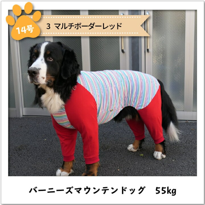 楽天市場 30 Offセール カバーオール 超大型犬 在庫限り Very Pet