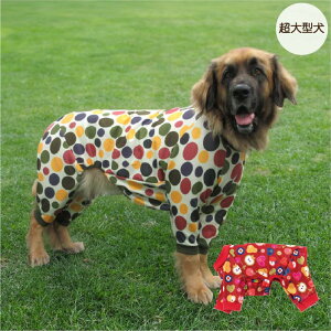 20%OFF Z[  H ~ ^ vgJo[I[   H~ tďH~   v`v   yA ybgEFA ybg N t[c hbg h g Jo[I