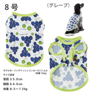 20%OFF Z[    ^Ngbv  MǑ΍ ڐG⊴ Very-pet  VERY TCYj[A t  yRiR{z^  _bNX ^ j̎q ̎q 킢 ₷