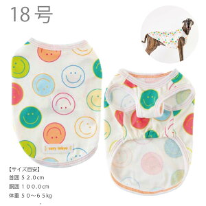 20%OFF Z[yc킸z    ^Ngbv ĕ |bv N[^Ngbv MǑ΍ ڐG⊴ O΍ VERY TCYj[A t  X}C|bv ^  _bNX 