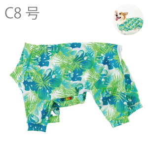 20%OFF Z[  p[X ڐG⊴  MǑ΍ ėp O΍ h~ bNXN[ p[X IAVXO[ VERY TCYj[A  bNXN[p[