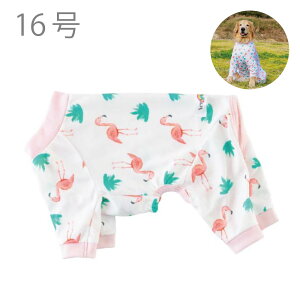 y 20%OFF Z[ z  VERY H C΍  p[X ڐG⊴  O΍ VTCY |bv N[p[X t~S ^  _bNX ^ ^ ^ 킢 