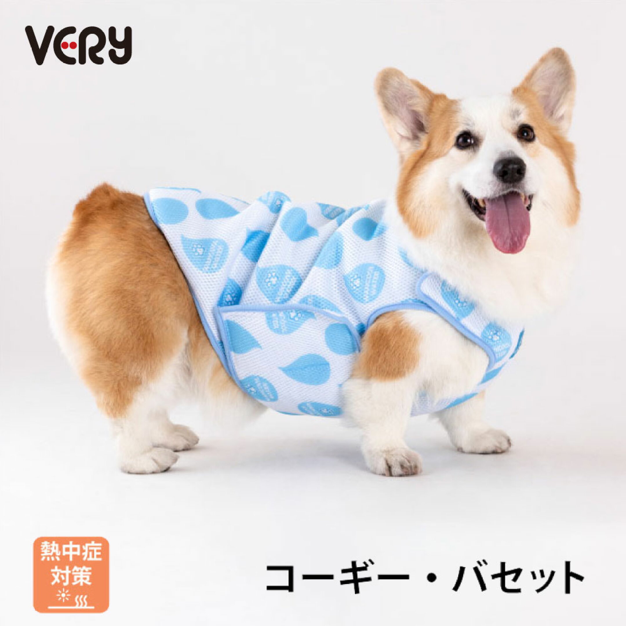 ワンクールウォーターCG