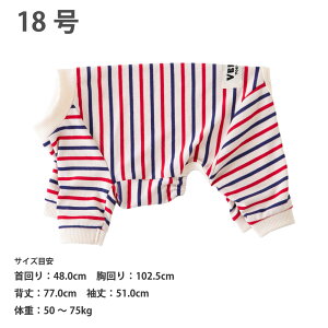  VERY BORDERS CLUB Rbg95 p[X zEg΍ gR[EO[×IW [S30TCY] ^ ^ ^ ^ _bNX  炩 ɂ₳  