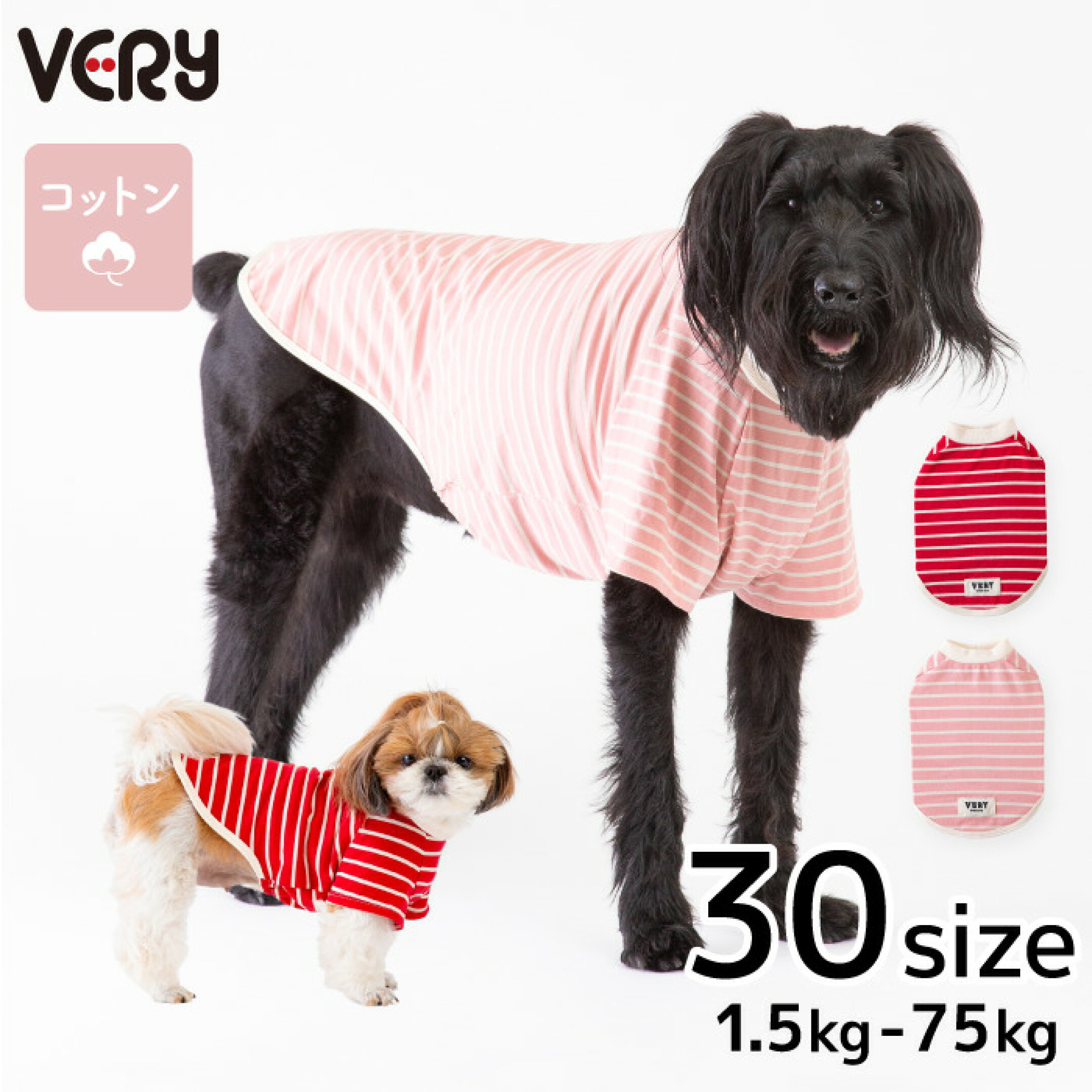 Ｔシャツ（レッド）