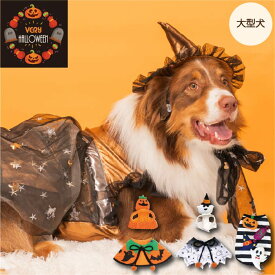 犬服 VERY 秋 冬 ハロウィン コスチューム 大型犬 かぼちゃ おばけ 魔女 ケープ 帽子 犬 服秋冬 春夏秋冬 おしゃれ 安い プチプラ 可愛い お揃い ペア ペットウェア ペット服 コスプレおもちゃ