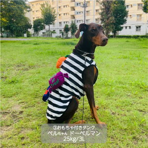  VERY H ~ nEB RX`[ ^ ڂ ΂  P[v Xq  H~ tďH~   v`v   yA ybgEFA ybg RXv