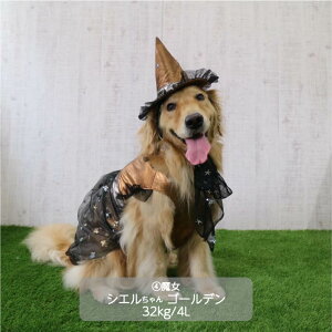  VERY H ~ nEB RX`[ ^ ڂ ΂  P[v Xq  H~ tďH~   v`v   yA ybgEFA ybg RXv