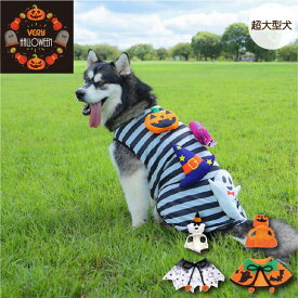 犬服 VERY ハロウィン 超大型犬 コスチューム おばけ かぼちゃ (帽子&ケープ) おもちゃ タンクトップ 犬 服 犬服 秋 冬 秋冬 春夏秋冬 おしゃれ 安い プチプラ 可愛い お揃い ペア ペットウェア ペット服 コスプレ