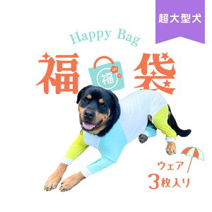 yz  ĕ  3茢 ^ t  p[X  Jo[I[ Ȃ O΍  ΍ bVK[h hh~ PK C菝 h~ yA ybgEF
