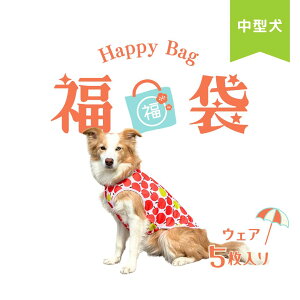 yz  ĕ  5茢 p[X  ^ R[M[ p t  Jo[I[ p[X O΍  ΍ bVK[h hh~ PK C菝 h~ 