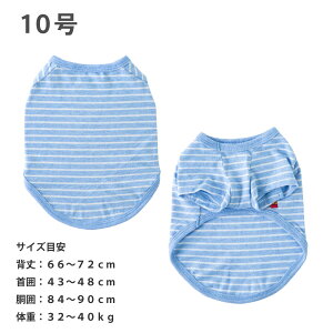  VERY ^ TVc H ~ I[V[Y   VRf RbgTVc Rbg 100 ɗD AM[΍ [EFA ё΍ x[   킢  