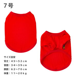  VERY ^ R[M[ TVc H ~ I[V[Y   VRf RbgTVc 100 ɗD Rbg I[KjbN hbOEFA x[ 낢 ꓮ₷ 