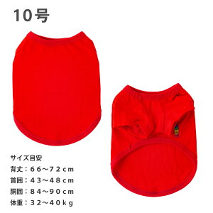    H t  ^ ^Ngbv Rbg I[V[Y Rbg  100 I[KjbN C΍ very hbOEFA ^  very x[ Xgb`f 킢 