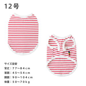    H t  ^ ^Ngbv Rbg I[V[Y Rbg  100 I[KjbN C΍ very hbOEFA ^  very x[ Xgb`f 킢 