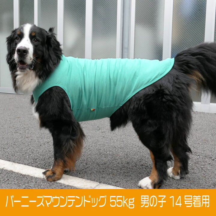 337円 限定特価 ベリー:VERY コットンTシャツ 7号 レッド 4582443481692 337円 限定特価 ベリー:VERY コットンTシャツ 7号 レッド 4582443481692