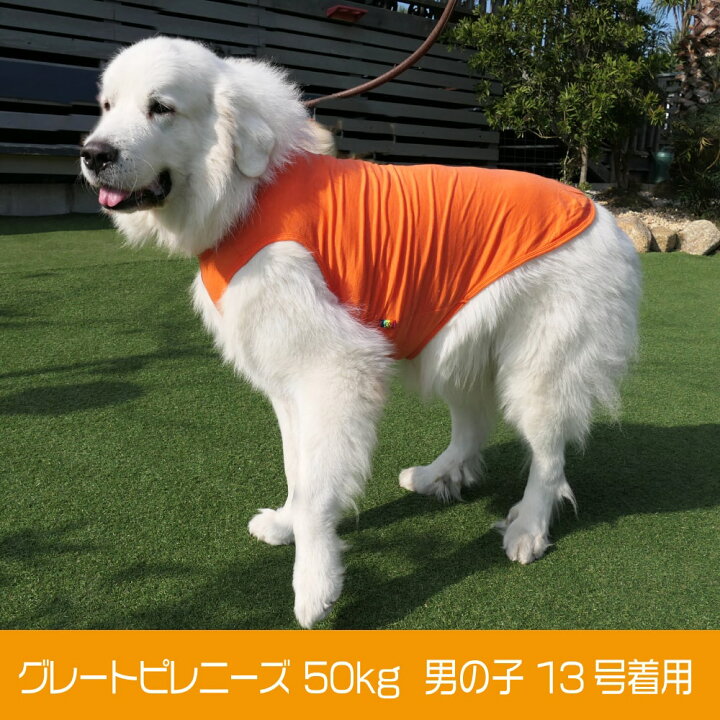 楽天市場 犬 服 Very ベリー 超大型犬 コットンタンクトップ 綿100 ペット 服 おしゃれ かわいい 犬服 秋冬 プチプラ 大型犬 Very Pet