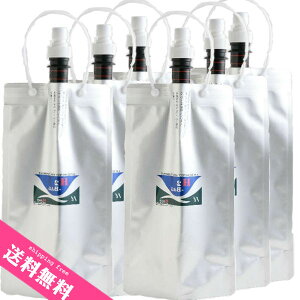 水素水専用真空保存容器 H2-BAG 1000ml x 6個セット密閉保存水素水ボトル水素水サーバー | 宅配便 送料無料
