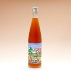 純植物性酵素飲料　大地の力 500ml | 宅配便 送料無料