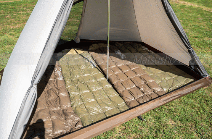 楽天市場】【19日20時から最大P47倍☆要エントリー】タッソ専用