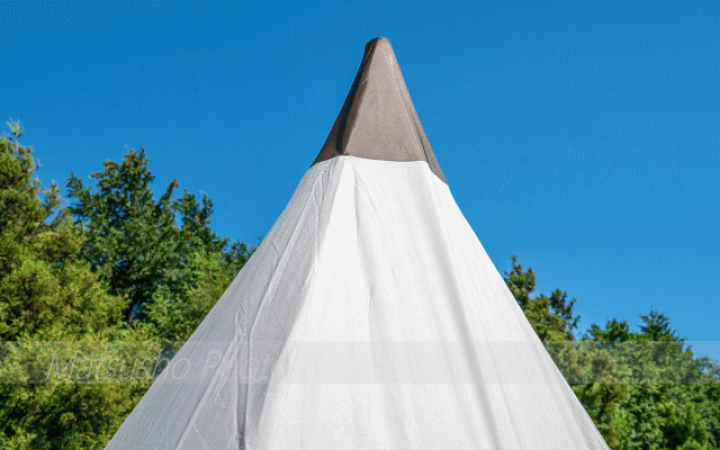 楽天市場】【19日20時から最大P47倍☆要エントリー】タッソ専用