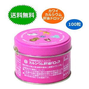 yO󂠂izJC JVE̖hbv 100 ͍ sN 