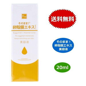 ̂܂! kGLX et 20ml k Zx q  