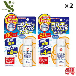 2Zbg RoGȂȂXv[ 80p 20ml  U쏜 \h L`[ KINCHO RoG Lb` 