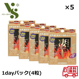 宝仙堂 凄十 すごじゅう 1dayパック(4粒) ×5個セット 栄養補助食品 宝仙堂の凄十 集中力 すっぽん サプリメント スッポン