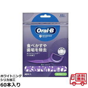 Oral-B オーラルB フロスピック ホワイトニング 60本入 糸ようじ クールミント フロス 歯間ブラシ 歯垢 除去 P&G 95
