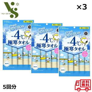 �G�X�J���b�g �Ɋ��^�I�� 5���� ×3�Z�b�g �X�k�[�s�[ �R�[�Z�[�R�X���|�[�g KOSE -4�� �N�[�����ӂ��^�I�� �唻 ���ӂ��V�[�g �����΍� �M���� ������ 24