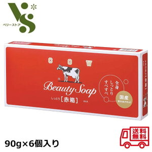 Ό JEuh Ԕ (90g×6) ΂ Ō`Ό oX   {fB\[v Ƃ 24
