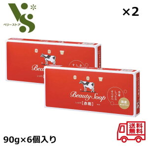 Ό JEuh Ԕ (90g×6) x2Zbg(v12) ΂ Ō`Ό oX   {fB\[v Ƃ 24