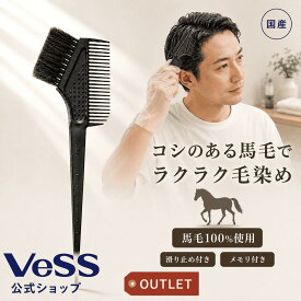 ベス VESS ヘアダイブラシ 天然毛 日本製 馬毛 DY-500 白髪染め ヘアカラー ギフト コーム 天然馬毛 毛染め 毛染めブラシ リタッチ ヘアマニキュア カラートリートメント 業務用