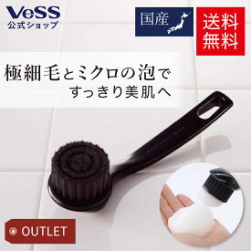 洗顔ブラシ フェイスブラシ【送料無料】 WHIP PORE BRUSH 老舗メーカー開発 極細毛 毛穴ケア フェイシャルケア スキンケア 美肌 肌ケア 泡洗顔 角質 汚れ オフ プレゼント ギフト クリスマス 日本製 VESS ベス工業 WP-600