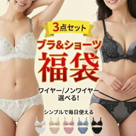 福袋 ブラジャー ショーツ セット ブラ&ショーツ 3点セット 下着 レディース 上下セット ワイヤー ノンワ…
