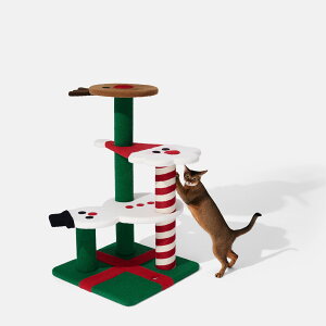 y}\N[|+P5{zyNX}XzVETRESKA tFXeBu ܂Ƃ Lbg^[ 4i 2i W[ giJCX u ܂Ƃ|[ ^L ^L gݗĊȒP nbN 