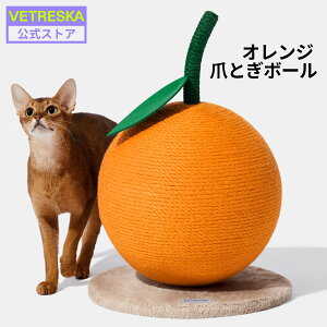 yLINEǉ12Itz VETRESKAyzIW ܂Ƃ{[ {[^ Lbgc[ ႢLbg^[ qLp  L܂Ƃ Sf JXoȂ 38cm u u^ 