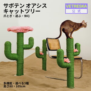 【10%OFF】VETRESKA サボテン オアシス キャットツリー 据え置き 爪とぎポール 猫爪とぎ ポスト カス出な