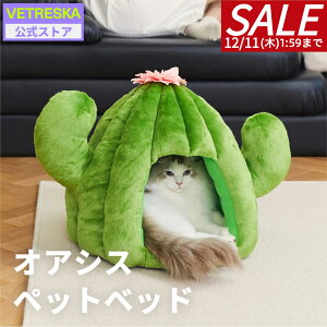 yX[p[Z[20lzVETRESKAT{e IAVX ybgxbh h[nEX Lp ^p NbVtyLpz~  h[^ 킢  ӂӂ 傫