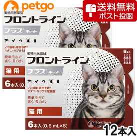 【ネコポス(同梱不可)】【2箱セット】猫用フロントラインプラスキャット 6本（6ピペット）（動物用医薬品）【あす楽】