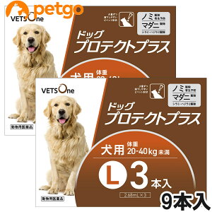 xbc hbOveNgvX p L 20kg`40kg 9{ (pi)
