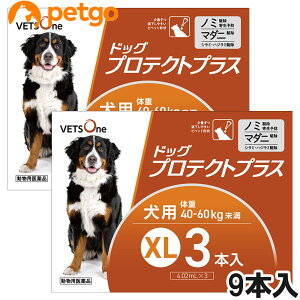 xbc hbOveNgvX p XL 40kg`60kg 9{ (pi)
