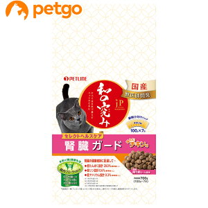 WF[s[X^C a̋ LpZNgwXPA tK[h `L 700g