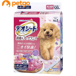 fIV[g ӂ荁LtOX t[V{̍ M[ 120