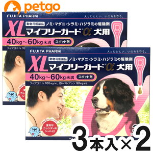 y2Zbgz}Ct[K[h p XL 40`60kg 3{ipij